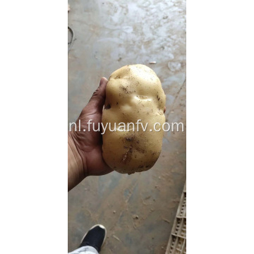 zoete aardappelen met gele kleur